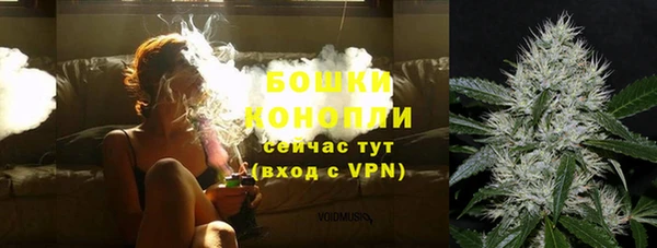 ГАЛЛЮЦИНОГЕННЫЕ ГРИБЫ Вяземский