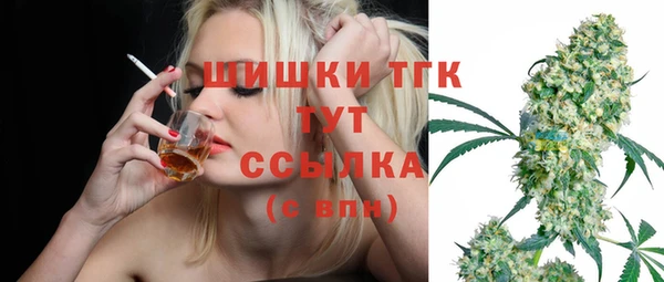 ПСИЛОЦИБИНОВЫЕ ГРИБЫ Вязьма