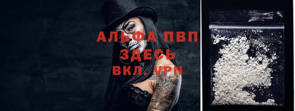 ГАЛЛЮЦИНОГЕННЫЕ ГРИБЫ Вяземский