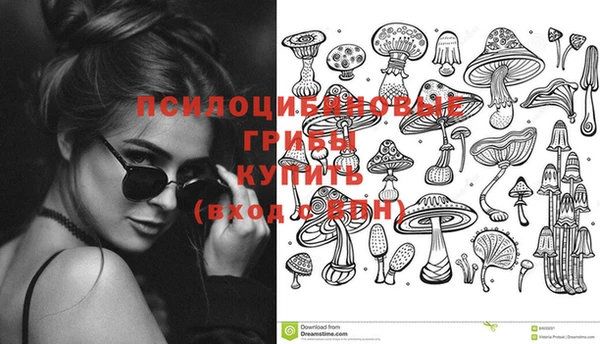 ПСИЛОЦИБИНОВЫЕ ГРИБЫ Вязьма