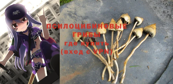 ГАЛЛЮЦИНОГЕННЫЕ ГРИБЫ Вяземский