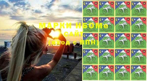 ГАЛЛЮЦИНОГЕННЫЕ ГРИБЫ Вяземский