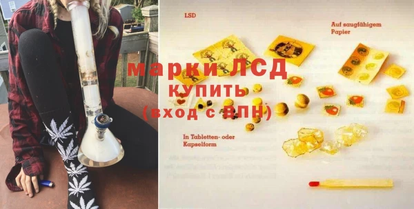 ГАЛЛЮЦИНОГЕННЫЕ ГРИБЫ Вяземский