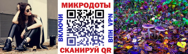 Купить  Нурлат  Псилоцибиновые грибы GOLDEN TEACHER 